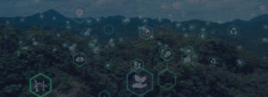 5 Strategies to Improve Supply Chain Sustainability