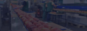 DDMRP Production Planning for Companies in the FMCG Industry
