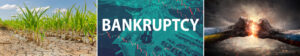 What are the risks and challenges in the supply chain