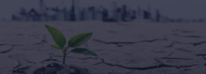 Demand Driven Adaptive Enterprise: Overview, Benefits, and Case Studies
